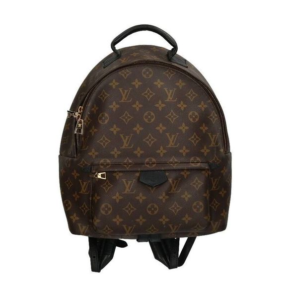 Louis Vuitton Palm Springs Backpack PM Monogram Brown - Picture 1 of 5